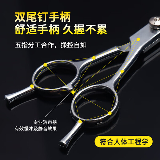 Tanizaki pet scissors set, grooming and styling shearing tools, scissors, steel comb