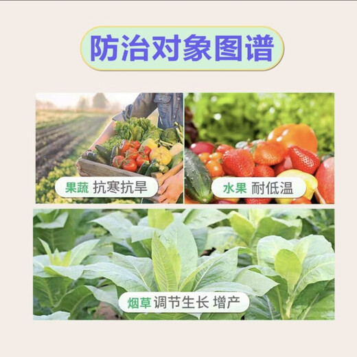 Fengzhipan S-attractant, tomato, grape and vegetable disease-resistant, drought-resistant and cold-tolerant root and seedling growth regulator 20 bottles (200 ml)