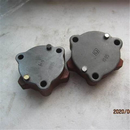Changchai Changzhou Changfa Single Zylinder Ölpumpe 1110/1115 Ölpumpe 195/1100/1105 Ölpumpe