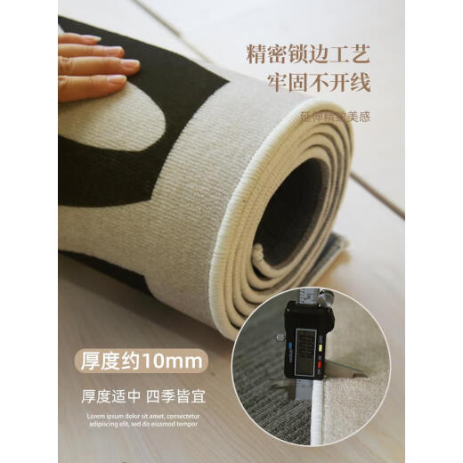 鱼与虎地垫客厅奶油风法式新款垫防水防污家用房间加厚地垫 回忆-12113 140cm*200cm圈绒