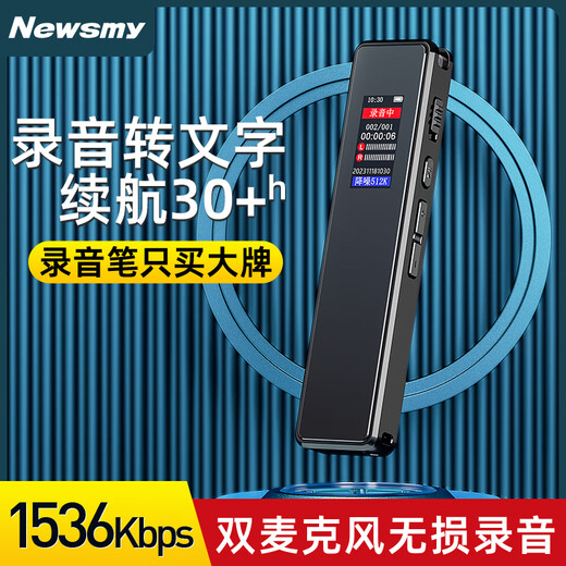 纽曼（Newsmy）纽曼录音笔 H5 16G 一键录音 专业高清远距 声控降噪 学习采访会 [9216K专业无损]A17256G