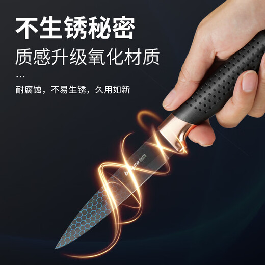 拜格（BAYCO）黑刃水果刀不锈钢便携瓜果小刀家用西瓜刀削皮刀去皮刀具BD3106