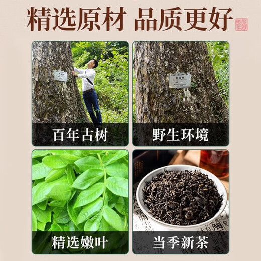 协和京品【正品】青钱柳叶茶降水压低脂低糖高血压搭绞股蓝罗布麻养生茶 青钱柳两盒装【糖友力荐】