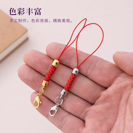 Pei Nanwei 10 lobster clasp lanyards, pendant ropes, mobile phone pendant ropes, diy material jewelry accessories, bag accessories, 10 multi-color mixed packs