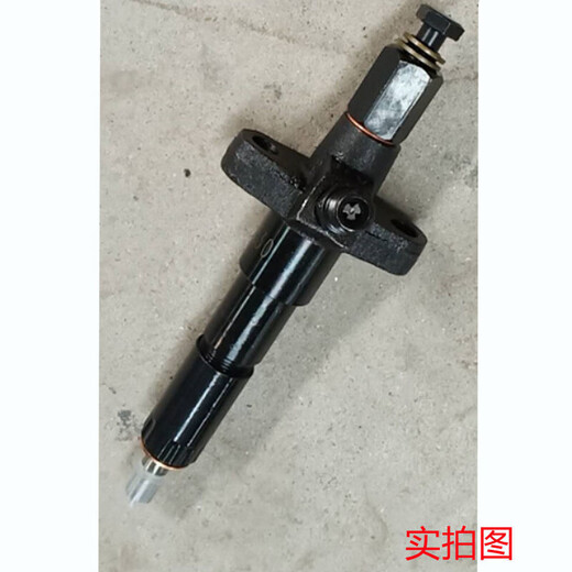 XMSJ195 1100 S1105 1110 ZS1115喷油嘴配件单缸柴油机喷油器总成 全新S195/1100涡流室油嘴总成