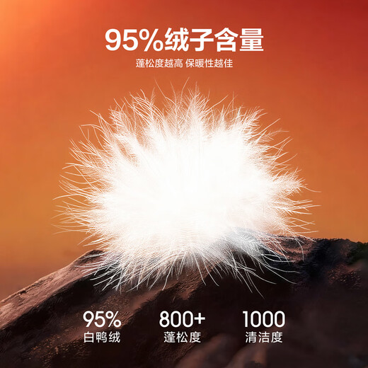 HLA Heilan House Men's 25 Down Jacket Chairman Recommends 005A Zeng Shunxi Aurora 95 Down Jacket Men's Winter