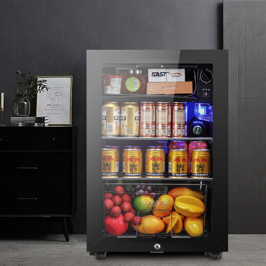 SAST ice bar refrigerator European style constant temperature wine cabinet office hotel home refrigerator mini small single door gaming tea preservation cabinet display sample beverage medicine cabinet 100 liters black (refrigerated + micro-freezing + blue light + lock)