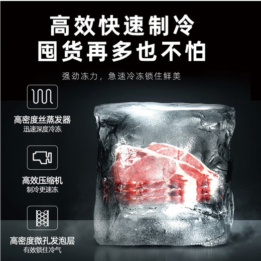 Royalstar Doppeltür-Kühlschrank, klein, Mini, Klasse 1, Energieeffizienz, Kühlschrank mit Gefrierfach, Vermietung, Haushaltskühlschrank 98A168, Klasse 1, Energieeffizienz, etwa ein Watt Strom in drei Tagen