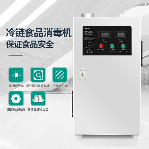 Feili duct type ozone generator central air conditioning fully automatic control ozone disinfection machine equipment food factory industrial clean workshop sterilization and deodorization 880F 80g ozone 800