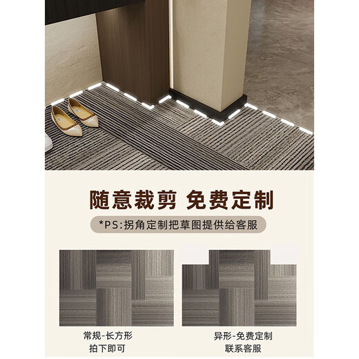 斯姆丽亚品牌入户门地垫感进门门口脚垫防滑耐脏门外门垫玄关地奢 灰颜-15271 定制联系客服不退不换
