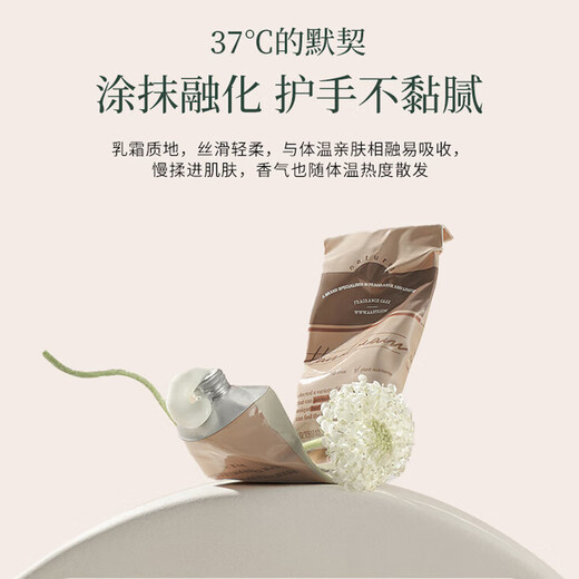 AARYE Annoya Hand Cream (Ebony+Light Rose+Yew) 225g Moisturizing and Anti-Drying Birthday Gift