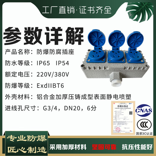Explosion-proof switch, explosion-proof socket, explosion-proof button, explosion-proof five-hole socket 86 switch panel switch plug row, explosion-proof Ling, single 5-hole/10A (new style)