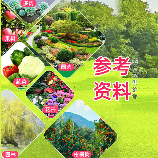 Senhuo 4% gibberellic acid growth regulating gibberellin 920 rooting, seedling, flowering, fruit expansion, fruit flowering and germination medicine 80ml*1 bottle