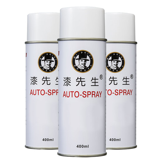 Raul RAL7021 Black Gray RAL7022 Dark Gray RAL7023 Concrete Gray Hand spray Anti-rust Self-spraying RAL7037 Soil Grey
