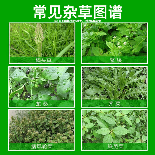 95% Glyphosate Ammonium Salt Rot Eradication Weed Killer Weed Root Rot Agent Garden Courtyard Farmland Orchard Pesticide 8 Groups/16 Packs (95% High Content Weed Rot Rot)