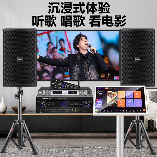 Wanlida Heim-KTV-Audio-Set, Leistungsverstärker, Karaoke-Maschine, Gesangsmaschine, System, Touchscreen, All-in-One-Karaoke-Heim-Karaoke-Lautsprecher-Ausrüstung, komplettes Set BY-310 10-Zoll-Set + 500G Karaoke-Maschine + Subwoofer