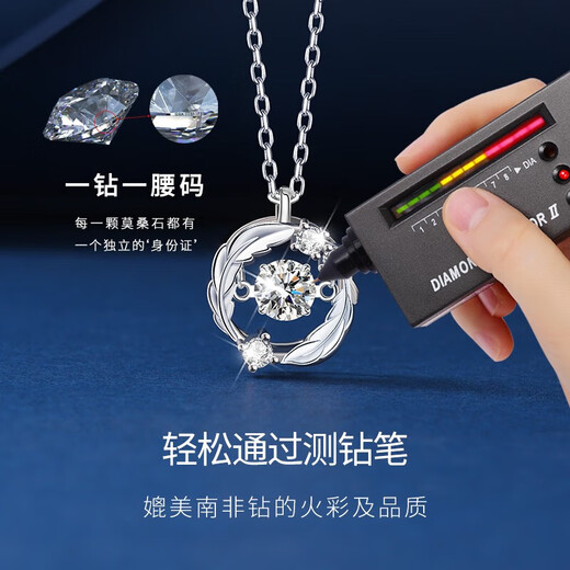 Grace Girl Platinum Feather Necklace for Women Platinum Pendant Light Luxurious Clavicle Chain as a Gift for Your Girlfriend Platinum Feather Necklace-Local Warehouse