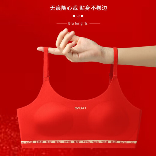 Cat Man's Year of the Pig Underwear Set for Female Students Junior High School and High School Girls Developmental Vest Girls Bra Big Red Panties Wide Shoulder Straps-Chinese Red Suit 160 (L) Recommended weight 80-95Jin Jin is equal to 0.5 kg