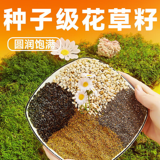 YEE peony bird food cockatiel bird food nutritional feed small sun nourishing pills Canary bird food full price shellless food 600g/barrel