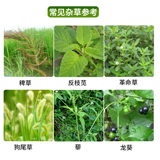 Hedangjia 41% glyphosate isopropylamine salt powerful herbicide garden courtyard orchard railway root rot pesticide 1000g/bottle