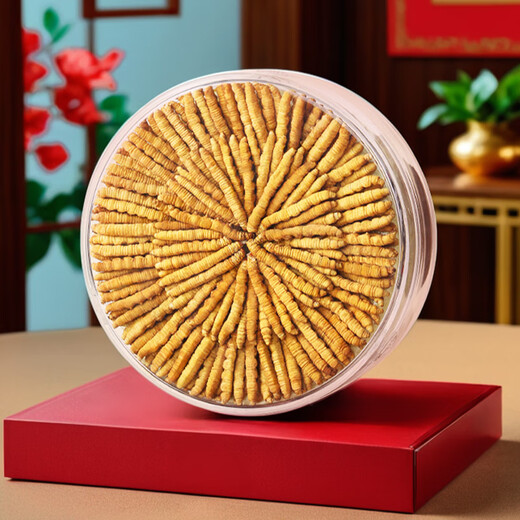 Cordyceps sinensis, high altitude, Cordyceps sinensis selection in the snowy areas of Tibetan areas in the Great Broken Grass pure meat section, dried Cordyceps nourishing Cordyceps sinensis pure meat section 20 grams