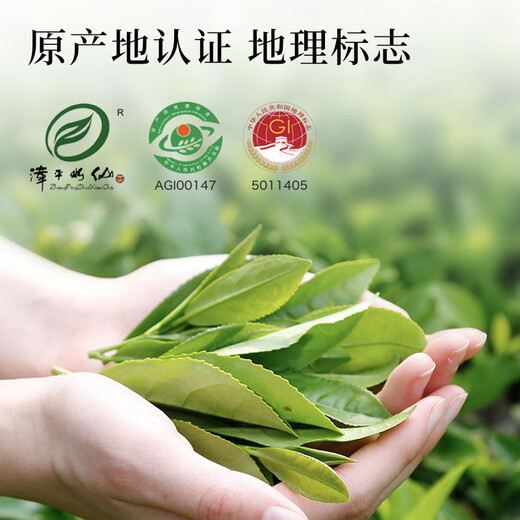 七春 茶叶漳平水仙乌龙茶 2025年新茶兰花香冷泡浓香袋装250g自己喝