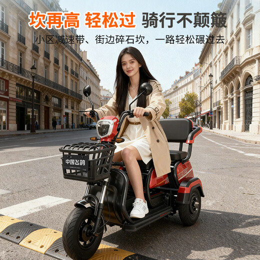 Flying Pigeon Tricycle Electric Car Home Small Elderly Leisure Battery Car Can Bring Carport for Transportation Electric Tricycle 600W Battery Life Version 22A Black Gold + Battery Life 120 Miles