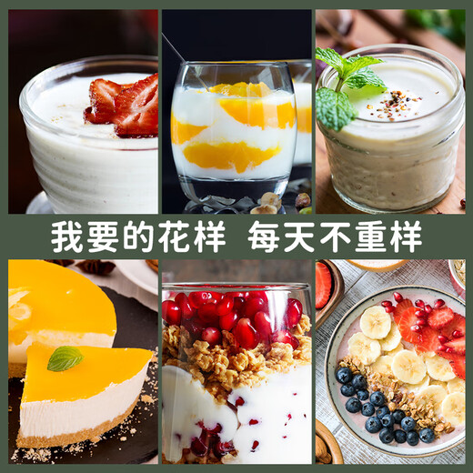 酸奶菌多功能全自动酸奶机家用粉纳豆菌粉一人小型机 套餐一多功能定时酸奶机（可做酸奶纳豆酒曲
