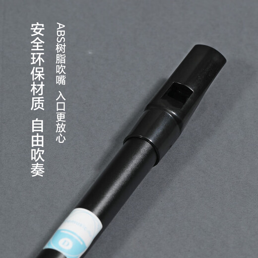 
romusic whistle flute Irish C tune six-hole recorder oral flute adult students beginner playing flute black