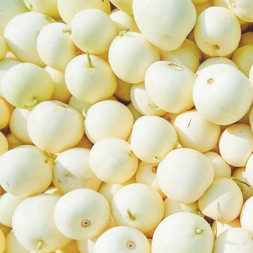 Zhongke Maohua white-skinned melon seeds Jingmi No. 1 early-maturing melon seeds hybrid thin-skinned white melon seeds fruit seeds Jingmi No. 1 melon seeds 600 capsules