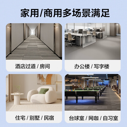 KADAILE Carpet Cleaning Floor Fabric Sofa Carpet Cleaning Machine Home Commercial Hotel Three-in-One Washing, Suction, Drying and Cleaning Machine New Product Launch CW-210-CN (standard configuration + 2 bottles of 1 liter cleaning fluid)