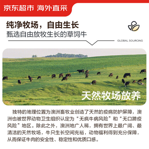 Jingdong Supermarket directly purchases raw beef tendon imported from Australia, net weight 3Jin Jin is equal to 0.5kg, contains 2~3 tendon cores, self-operated beef