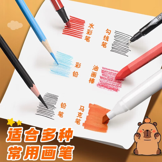 少年伴x森木 图画本 侧翻线圈图画本A4加厚图画本画画绘画纸儿童速写美术涂鸦  卡皮巴拉4本 XQA4050C869
