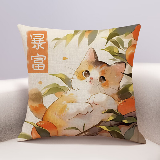 奢织中国风柿猫猫图案棉麻大抱枕中式客厅车载环保靠垫套乔迁礼品 826 柿猫猫吖-1 双面图案35X35cm(枕套加枕芯)