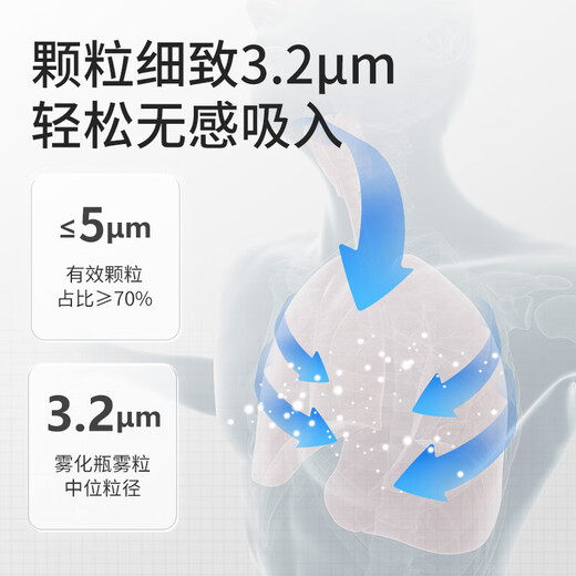 
Banglijian atomizer children's atomizer for elderly people's home air compression atomizer mask for medical compression CA-03
