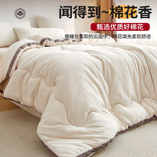 Antarctic human A type of antibacterial 100% Xinjiang cotton quilt, autumn and winter quilt core, 6 Jin [Jin equals 0.5 kg] 200*230cm