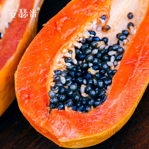 Anselmi Fruit Papaya Seeds from the South Farmer Hongfei Papaya Seeds 5g/bag