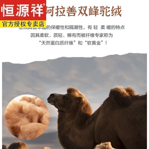 Hengyuanxiang camel velvet cotton trousers for women, large size, middle-aged and elderly women's trousers, thickened velvet, autumn and winter mother's trousers YLY016 (color) 3XL 121 Jin Jin equals 0.5 kg -140 Jin Jin equals 0.5 kg