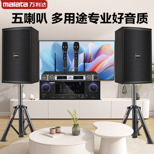 Malata audio set home KTV audio shop stage training room dance studio Bluetooth amplifier microphone speaker 10-inch five-unit audio + amplifier