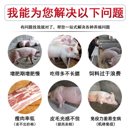 Male herding pig day length fattening pig fattening and weight gain growth-promoting concentrated feed for piglets to be released early and fattening premix for large pigs 50 bags, real hair 65 bags