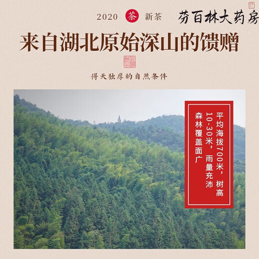 
Renhe Pharmaceutical [Directly sold in pharmacy] Renhe Pharmaceutical Renhe Qingqianliu Tea Non-wild Tender Sprout Leaf Tea Precipitation Pressure Low Fat Low Five Box Consolidation Pack