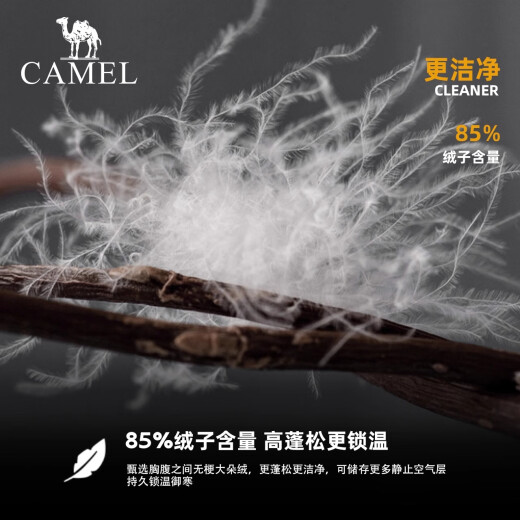 骆驼（CAMEL）黑钻系列短款羽绒服女装冬新款保暖防风连帽羽绒外套面包服 724CA6B601，白玉粉，女 L (180)