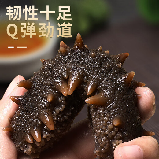 缤鲜 即食海参 免泡发海参大连瓦房店鲜活刺参新鲜净500g 7年海参送礼 开袋即食海参【20-40只/斤】 2斤装