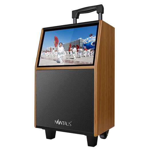 Jinzheng square dance audio with display screen outdoor audio karaoke all-in-one machine trolley speaker mobile Bluetooth home KTV audio karaoke machine large volume 21# Bluetooth wooden trolley flagship version + dual microphones standard without U disk without bracket