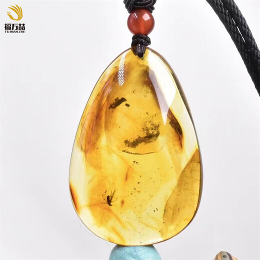 Fuwanzhe Insect Amber Pendant Natural Insect Amber Beeswax Pendant Fly Amber Water Drop Pendant 8.27g