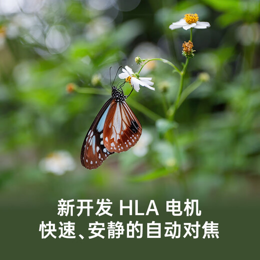 SIGMA Art 28-45mm F1.8 DG DN full-frame wide-angle zoom lens constant large aperture landscape portrait (Sony E-mount)