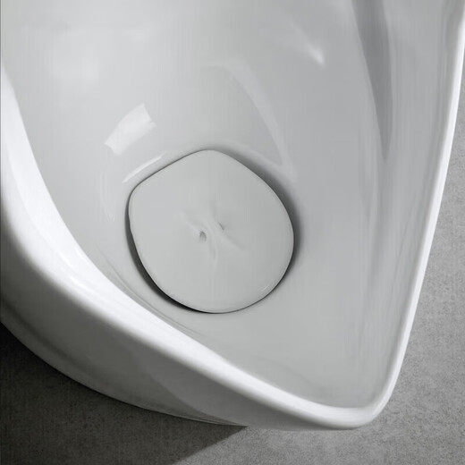 Renjuyi urinal 81987 induction integrated floor-standing USWN870RBE AC