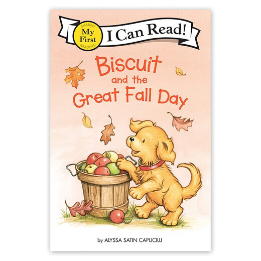 
Biscuit and the Great Fall Day 618 Primary School Teaching Assistant