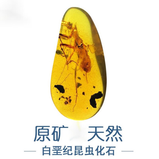 Zi Mian natural Burmese amber raw ore water purified gold blue gold amber blood tea amber water gall plant large insect amber stone ring face pendant No. AF412 Height, width and thickness 18 13 8m