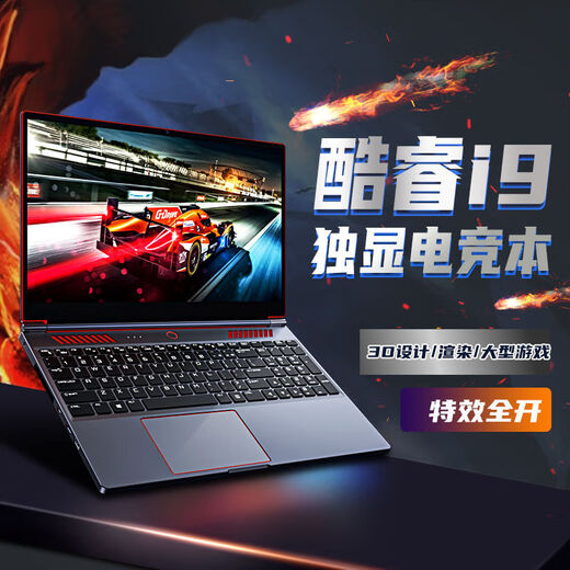 IRU [CORE I9 + Independent Graphics Card GTX1650] Neues Produkt 16,1-Zoll-Octa-Core-Hochleistungs-Gaming-Laptop Live-Broadcast-Laptop High-End Thin und Light Office E-Sportbook Notebook Core i9-9880H + 4G Independent Graphic